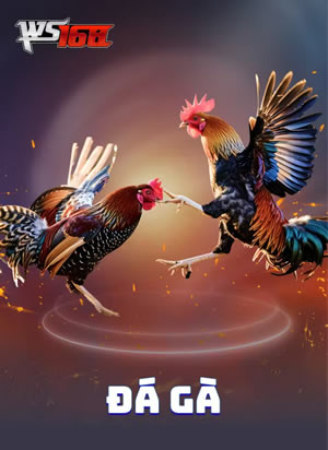 Hilo Card